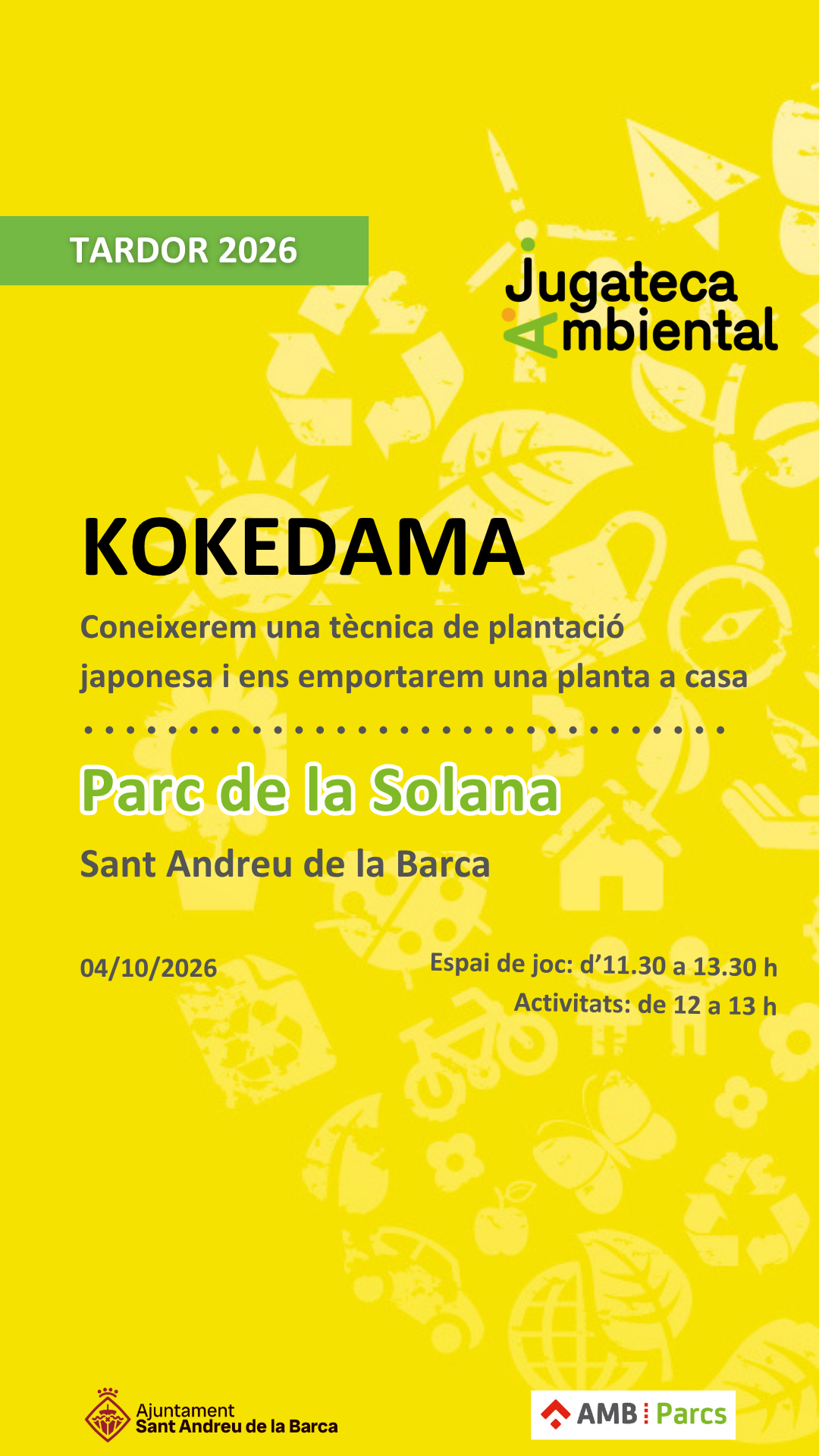 Kokedama